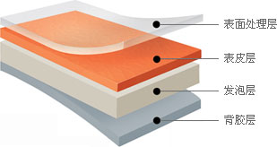 门板用表皮 - 表面处理层, 表皮层, 发泡层, 背胶层