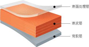 仪表板用表皮 - 表面处理层, 表皮层, 背胶层