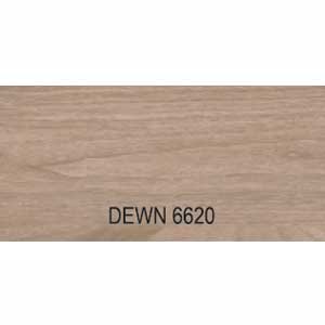 DEWN6620