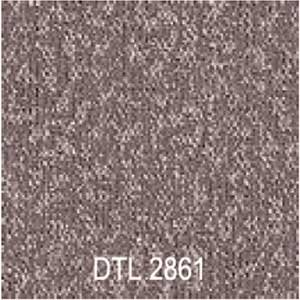 DTL2861