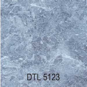 DTL5123