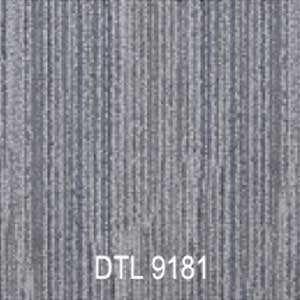 DTL9181